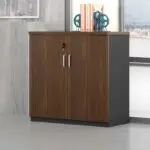 Elegant 2-Door Wooden Storage Cabinet