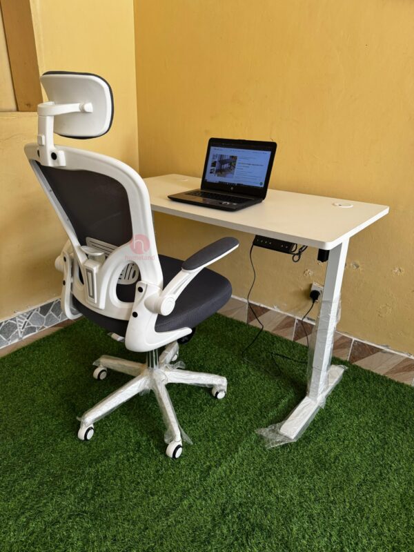 White Electric Standing Desk and White & Grey Ergonomic Executive Chair for Stylish and Healthy Workspaces